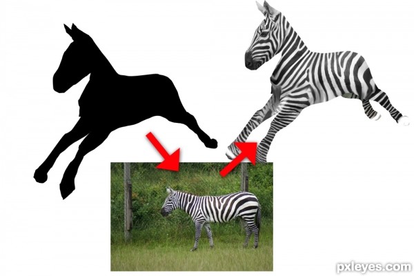 Creation of rocking zebra: Step 1